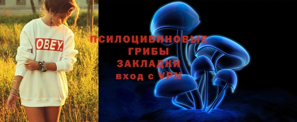 ГАЛЛЮЦИНОГЕННЫЕ ГРИБЫ Дмитриев