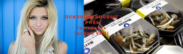 винт Арсеньев