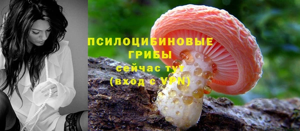 винт Арсеньев