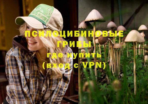 винт Арсеньев