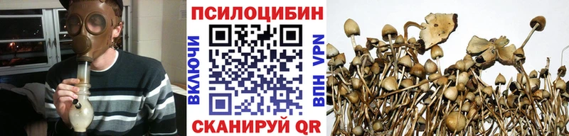 Псилоцибиновые грибы прущие грибы  Нижний Ломов 